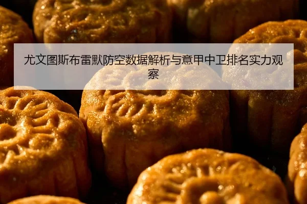 尤文图斯布雷默防空数据解析与意甲中卫排名实力观察